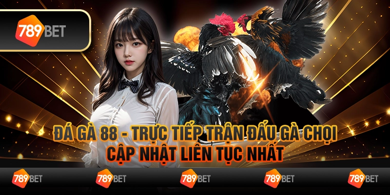 Đá gà 88 - Trực tiếp trận đấu gà chọi, cập nhật liên tục nhất