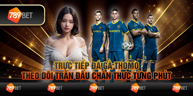 Trực tiếp đá gà Thomo – Theo dõi trận đấu chân thực từng phút