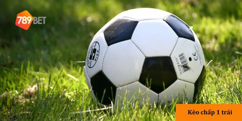 3 loại kèo chấp một trái phổ biến tại 789bet