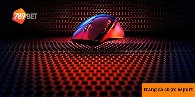 tính năng cá cược trực tuyến tiện lợi