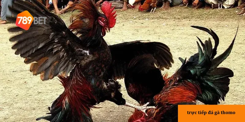 3 ưu điểm khi tham gia 789bet