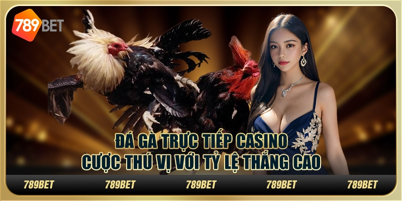 Đá gà trực tiếp casino: Cược thú vị với tỷ lệ thắng cao