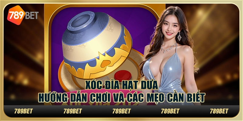 Xóc đĩa hạt dưa: hướng dẫn chơi và các mẹo cần biết