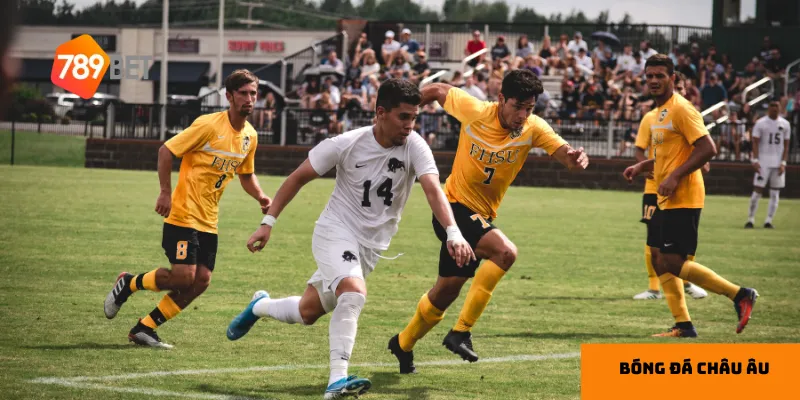 Phân tích phong độ và lực lượng giúp đưa ra nhận định chính xác hơn.