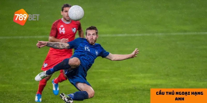 Van Dijk là biểu tượng cho sự ổn định và chắc chắn của hàng thủ Liverpool.