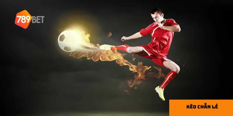 Hướng dẫn chơi kèo chẵn lẻ hiệu quả