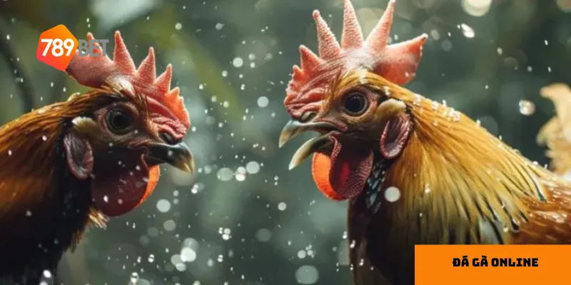 Phân tích chiến kê kỹ lưỡng là chìa khóa giúp bạn đưa ra quyết định chính xác.