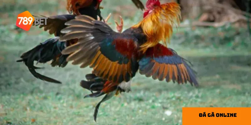  Sử dụng ưu đãi từ nhà cái là cách tốt để gia tăng lợi ích khi chơi.