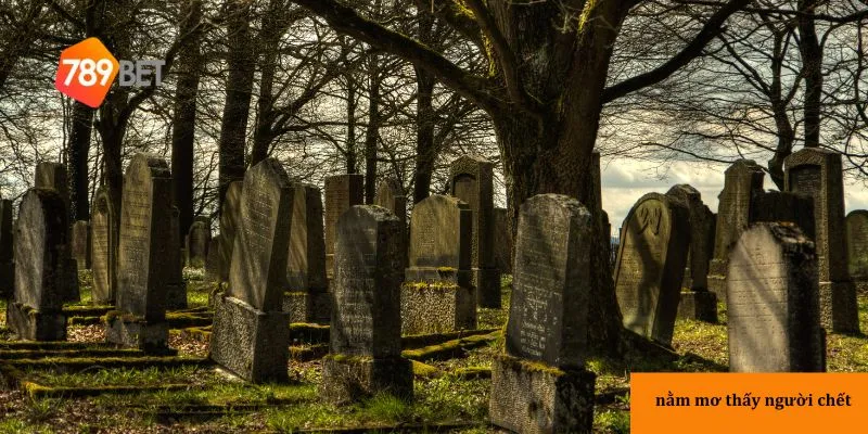 Người chết trò chuyện trong mơ mang thông điệp dẫn đường.