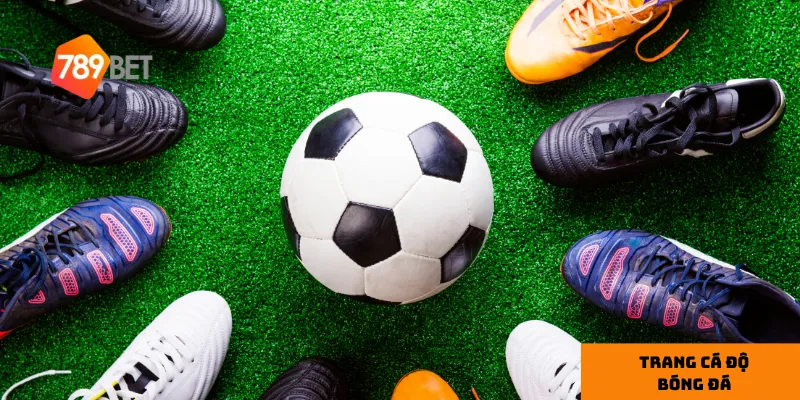 Lý do nên chọn 1 địa chỉ cá cược uy tín