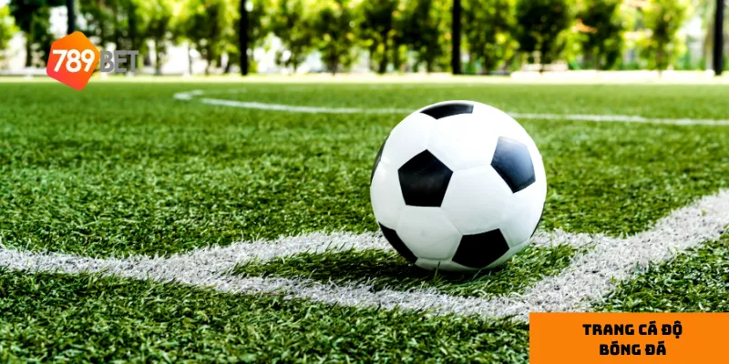 3 tiêu chí chọn trang cá độ bóng đá uy tín