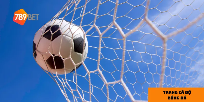 3 yếu tố tạo nên sự khác biệt của 789bet