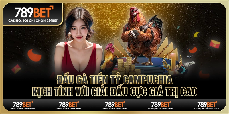 Đấu gà tiền tỷ Campuchia: Kịch tính với giải đấu giá trị