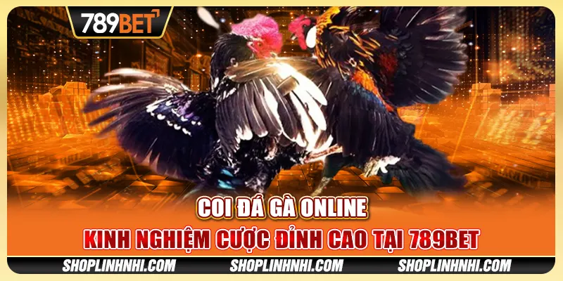Coi Đá Gà Online – Kinh Nghiệm Cược Đỉnh Cao Tại 789BET