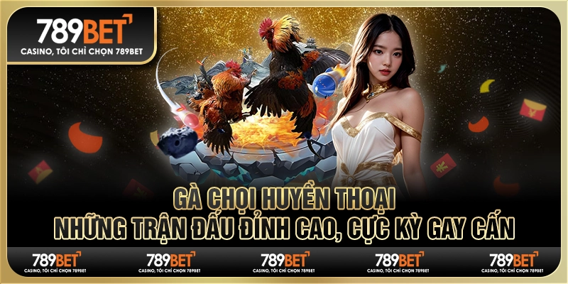 Gà chọi huyền thoại: Những trận đấu đỉnh cao, cực kỳ gay cấn