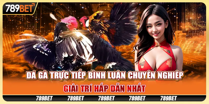 Đá gà trực tiếp bình luận chuyên nghiệp, giải trí hấp dẫn nhất