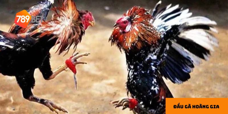 Công nghệ hiện đại giúp trận đấu trở nên chân thực hơn.