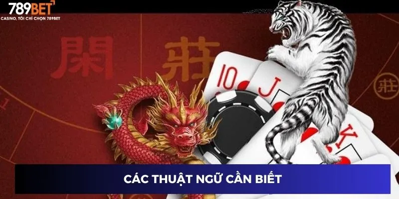 Các thuật ngữ cần biết