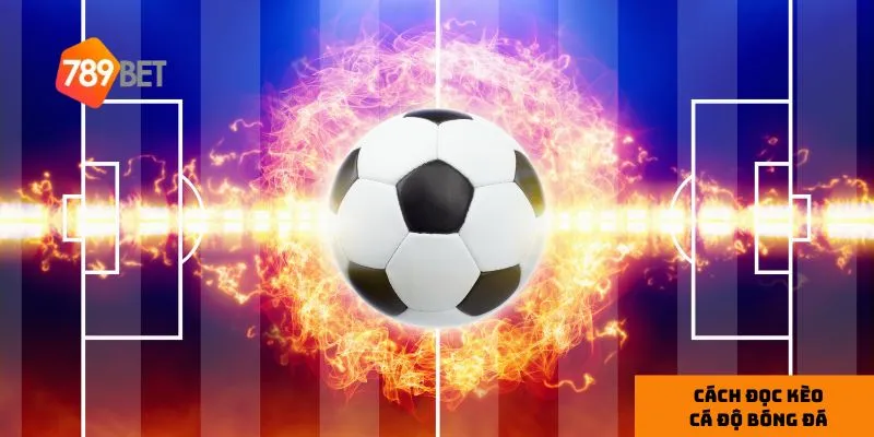 Kèo châu Á là lựa chọn hàng đầu cho người chơi cá độ bóng đá tại Việt Nam.