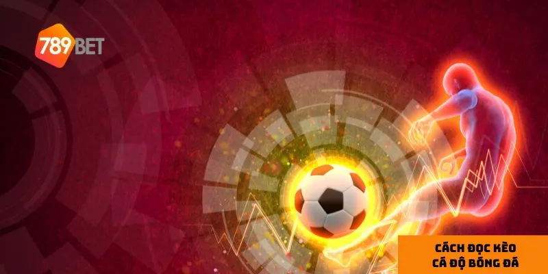 Tỷ lệ cược Malaysia giúp bạn tính toán số tiền cược và thắng dễ dàng hơn.