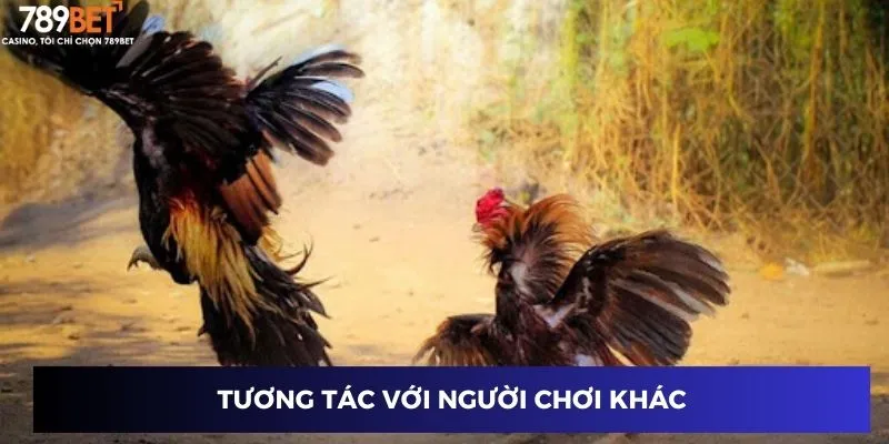 Tương tác với người chơi khác