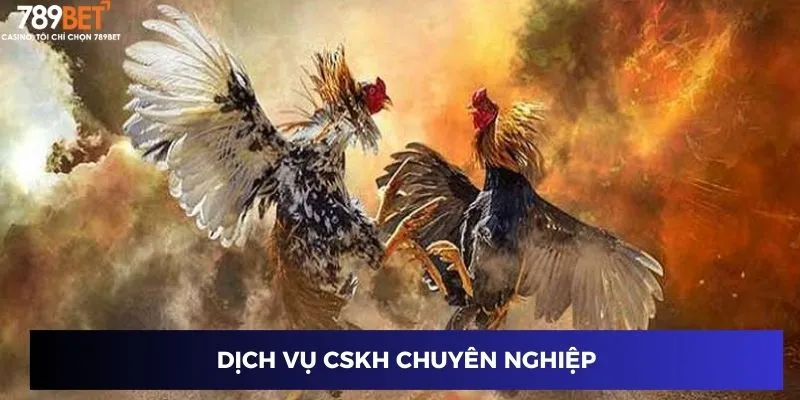 Dịch vụ CSKH chuyên nghiệp