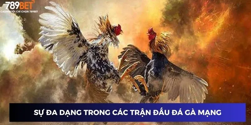 Sự đa dạng trong các trận đấu đá gà mạng