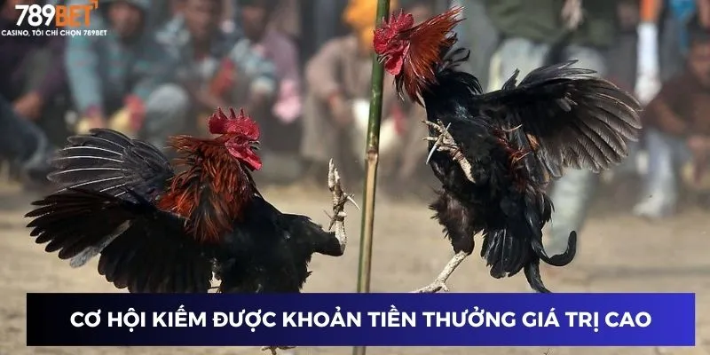 Cơ hội kiếm được những khoản tiền thưởng giá trị cao