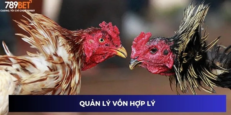 Quản lý vốn hợp lý
