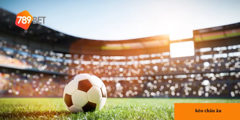 Hiểu rõ tỷ lệ kèo châu Âu giúp bạn đưa ra quyết định chính xác hơn.