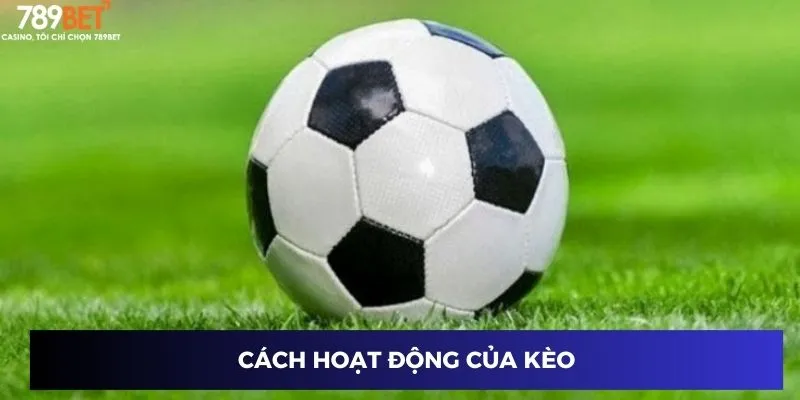 Cách hoạt động của kèo