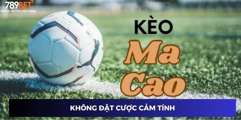Không đặt cược cảm tính