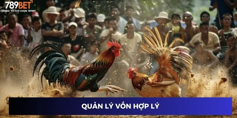 Quản lý vốn hợp lý