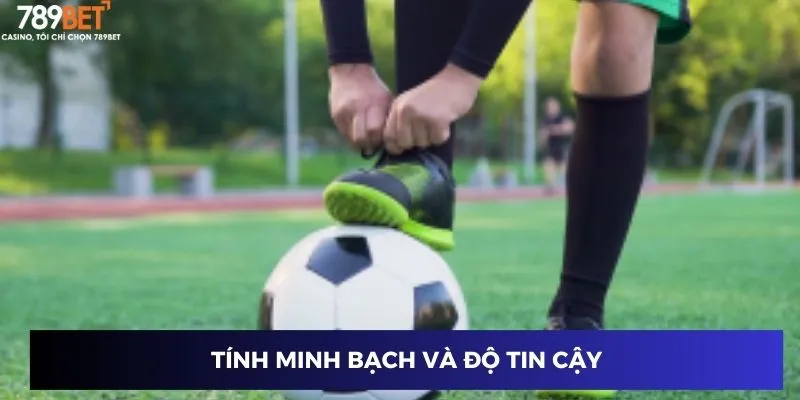 Tính minh bạch và độ tin cậy