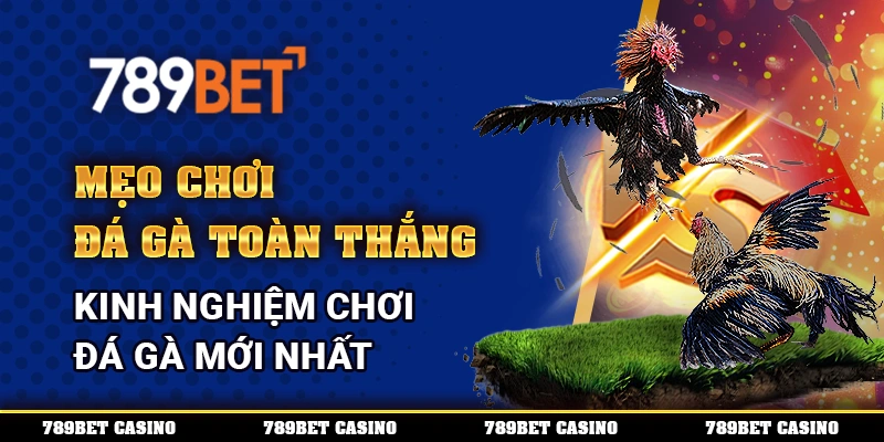Mẹo Chơi Đá Gà Toàn Thắng – Kinh Nghiệm Chơi Đá Gà Mới Nhất
