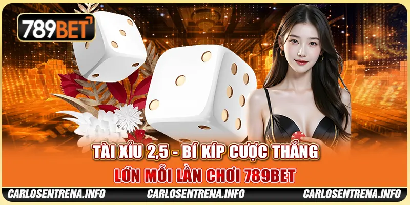 Tài Xỉu 2,5 - Bí Kíp Cược Thắng Lớn Mỗi Lần Chơi 789BET