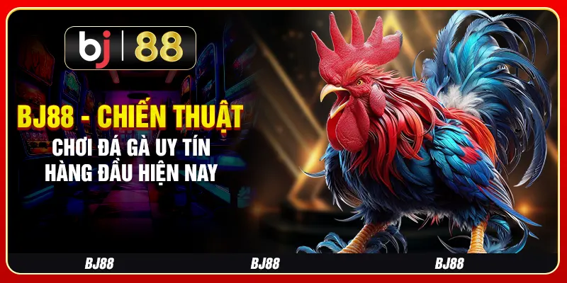 BJ88 - Chiến Thuật Chơi Đá Gà Uy Tín Hàng Đầu Hiện Nay