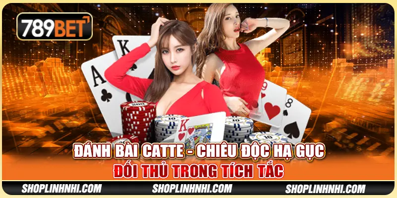 Đánh Bài Catte - Chiêu Độc Hạ Gục Đối Thủ Trong Tích Tắc
