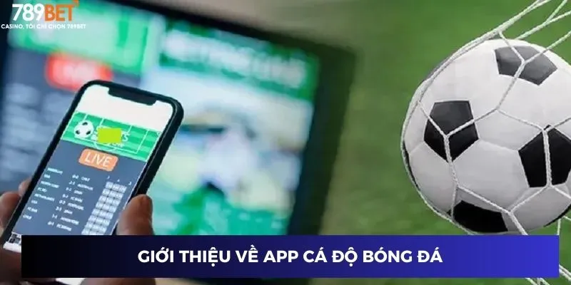Giới thiệu sơ qua về app cá độ bóng đá