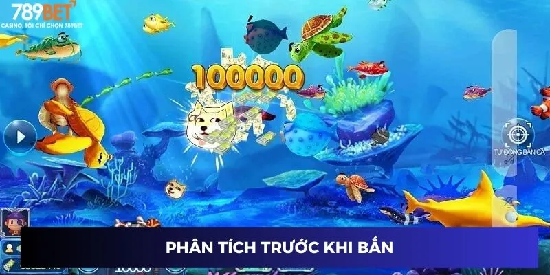 Phân tích trước khi bắn
