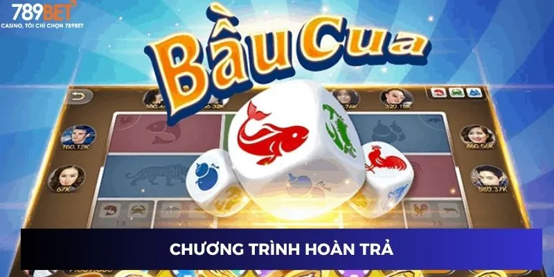 Chương trình hoàn trả