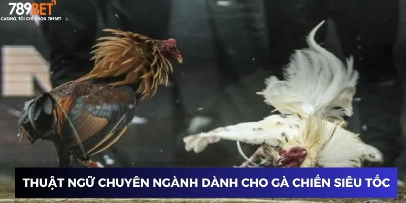 Thuật ngữ chuyên ngành dành cho gà chiến siêu tốc