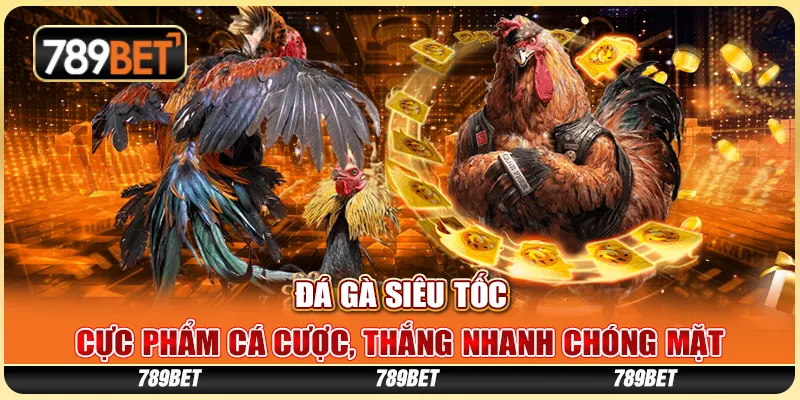 da-ga-sieu-toc-cuc-pham-ca-cuoc-thang-nhanh-chong-mat