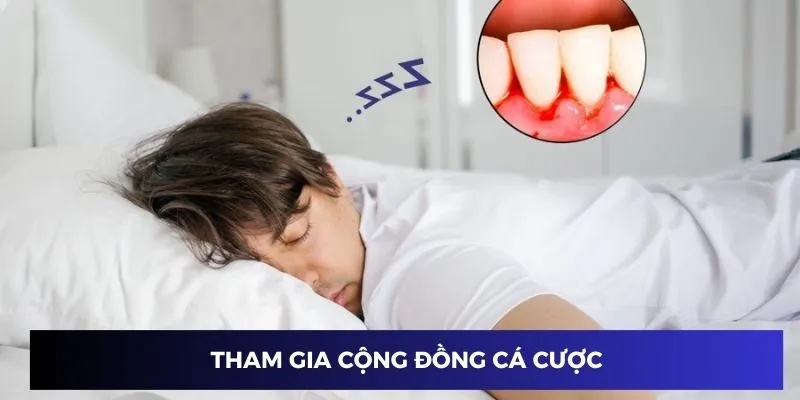 Tham gia cộng đồng cá cược