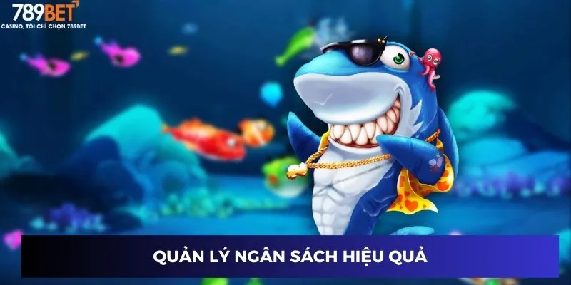 Quản lý ngân sách hiệu quả