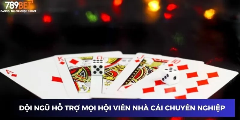 Cách đặt cược trong xì tố