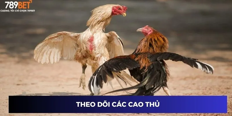 Theo dõi các cao thủ