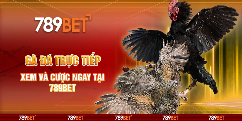 Gà Đá Trực Tiếp - Xem Và Cược Ngay Tại Nhà Cái 789bet