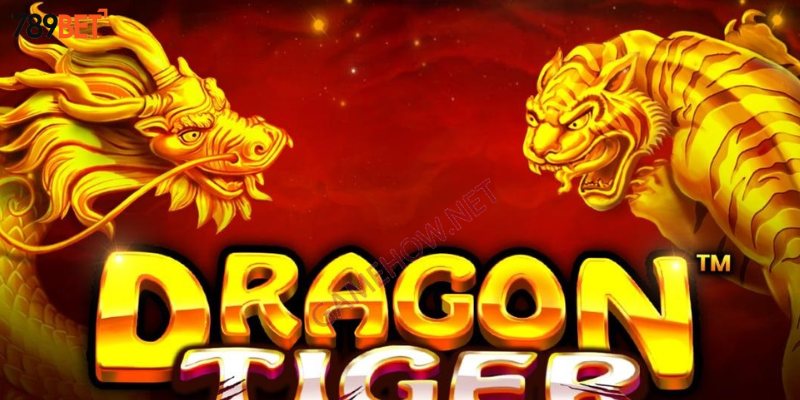 Hướng dẫn đặt cược và mẹo thắng lớn