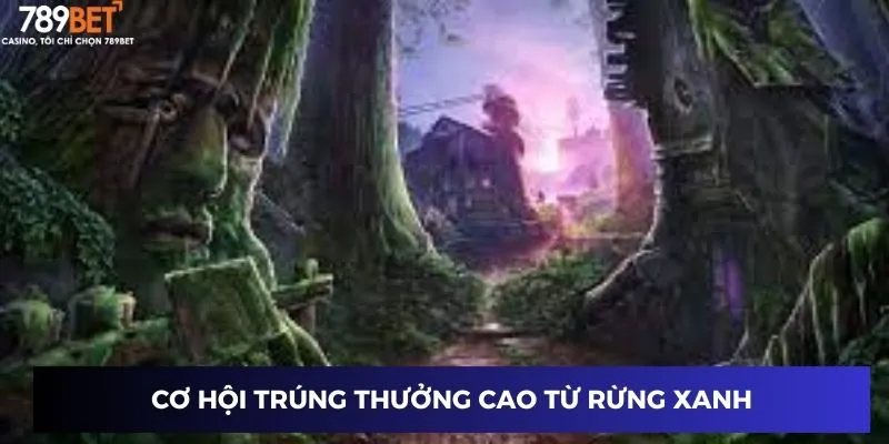 Cơ hội trúng thưởng cao từ rừng xanh
